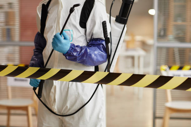Professional Sewage Cleanup technician working in Jeffersonville, OH